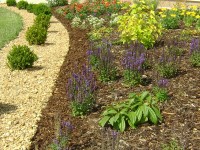 /album/fotogalerie-vysadba/a47-a-jpg/